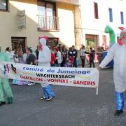 Carnaval chatillon mars 2016 04