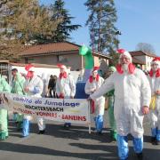 Carnaval chatillon mars 2016 05