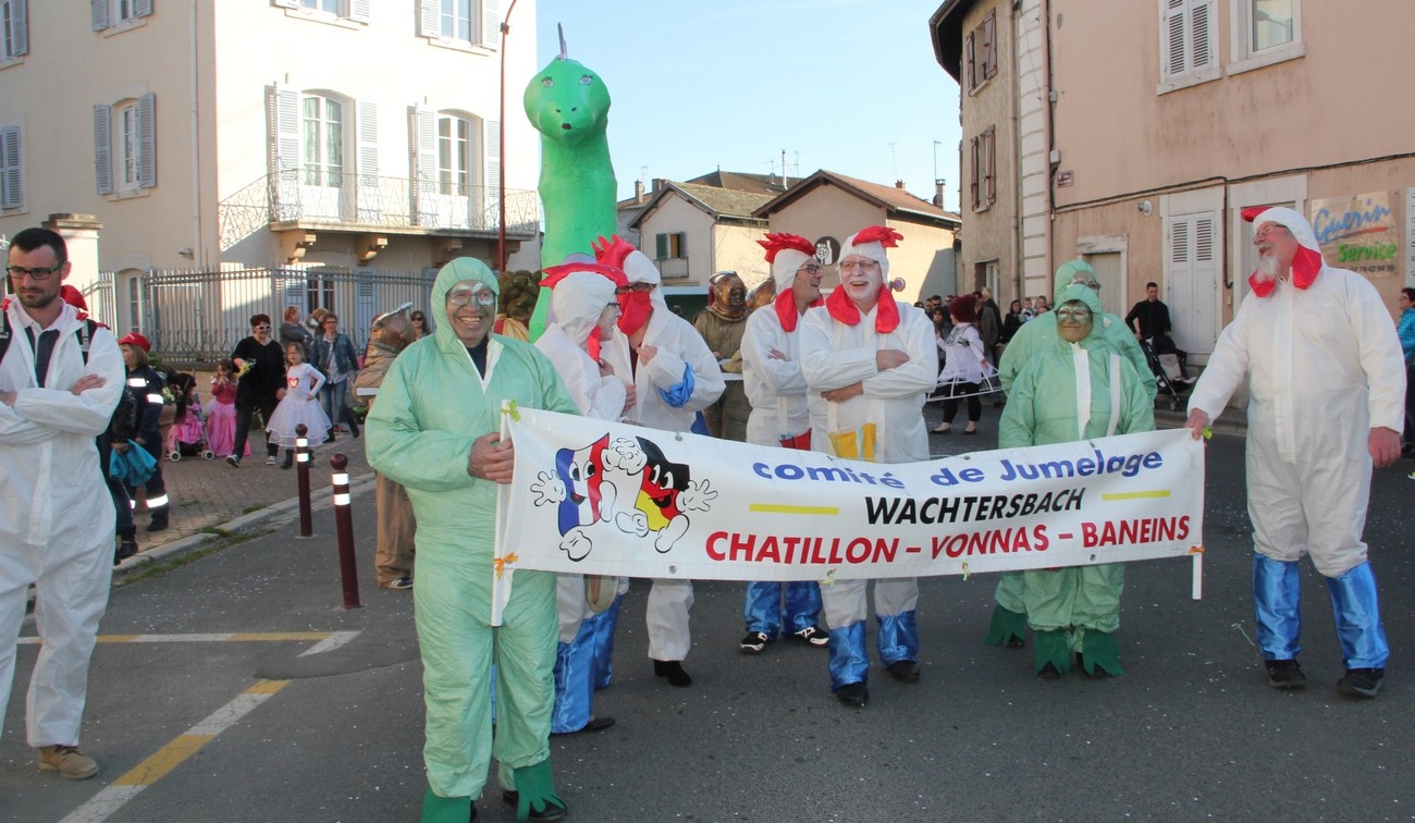 Carnaval chatillon mars 2016 06