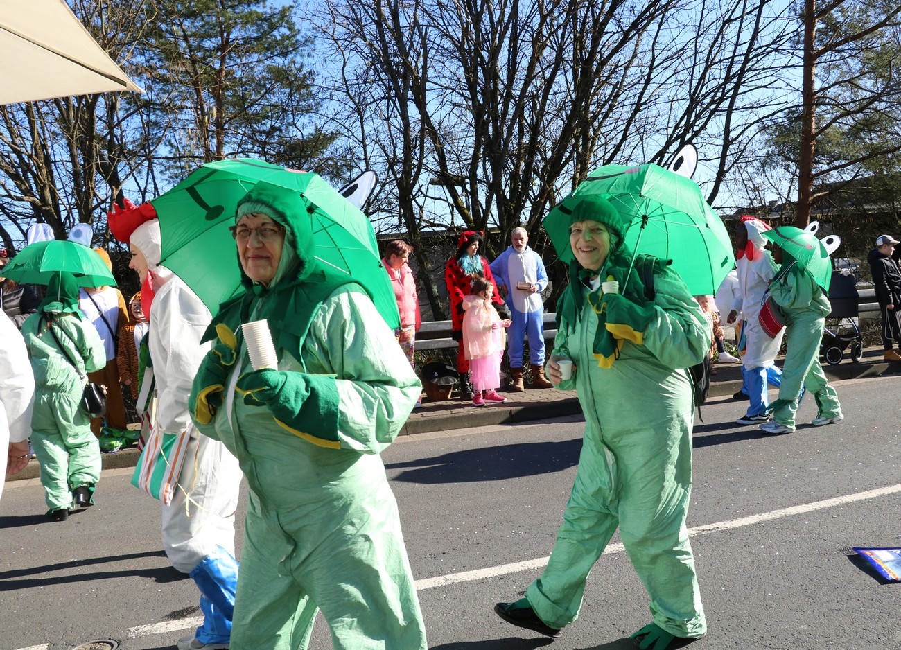 Carnaval Wächtersbach 