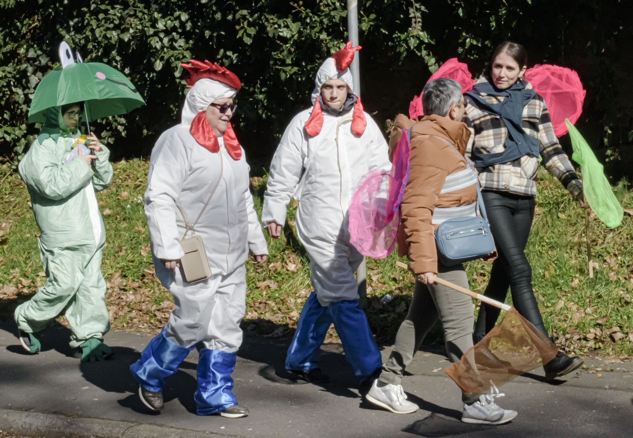 Carnaval Wächtersbach 