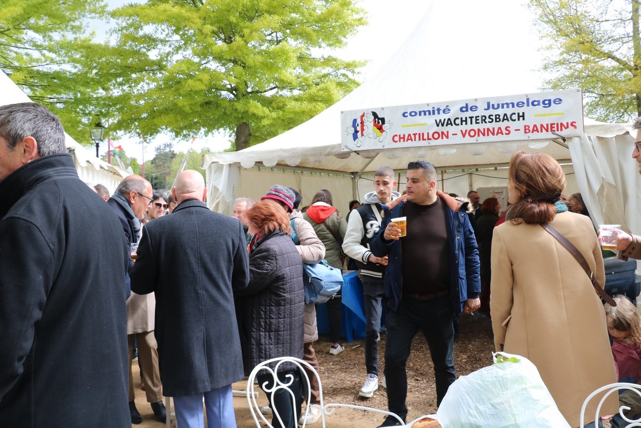 Foire de chatillon 2024 022
