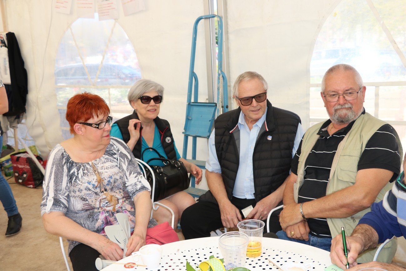 Foire de chatillon 8 avril 2017 08